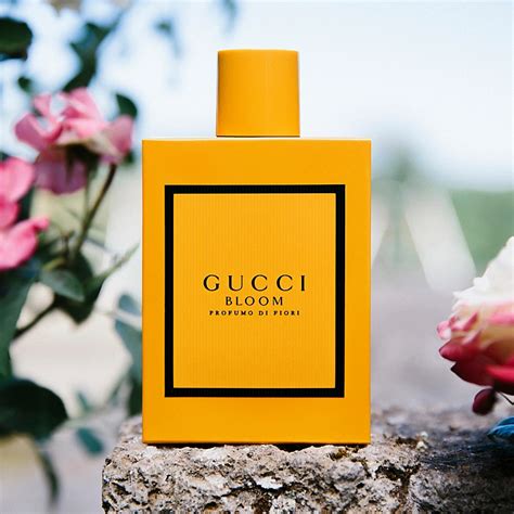 gucci perfume blossom|where to buy gucci bloom.